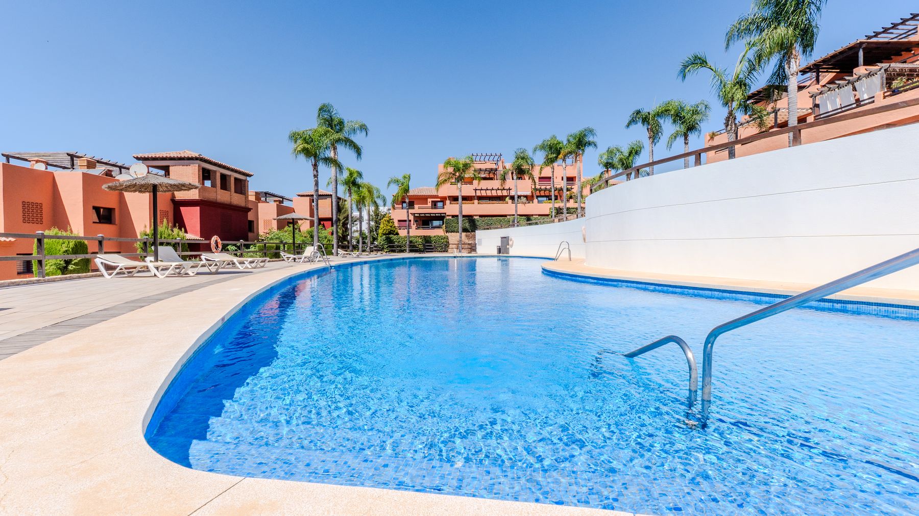 Curved communal pool lined with palms and sun loungers