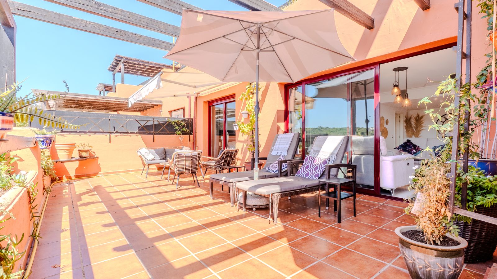 Sunny terrace with pergola, loungers and planted borders